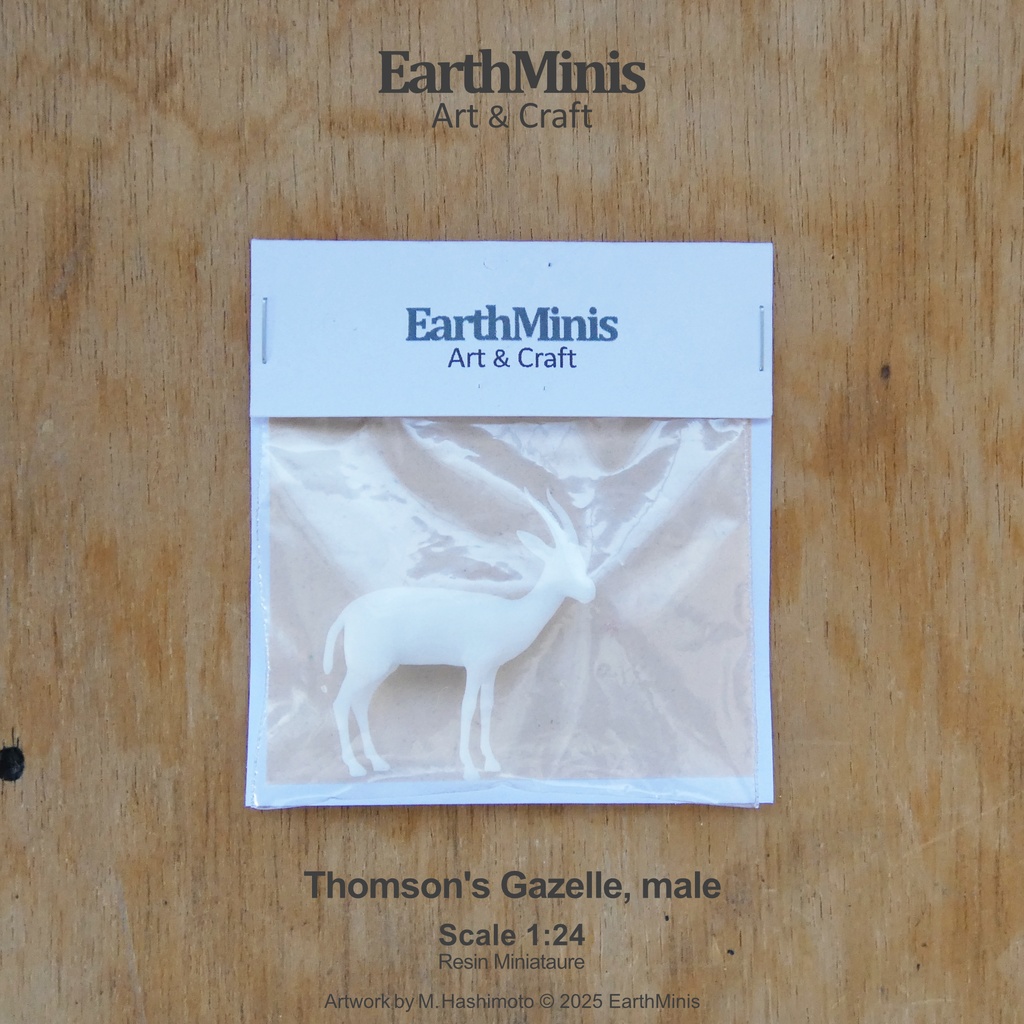 1/24スケール トムソンガゼル(オス) 動物ミニチュア素材 ホワイト