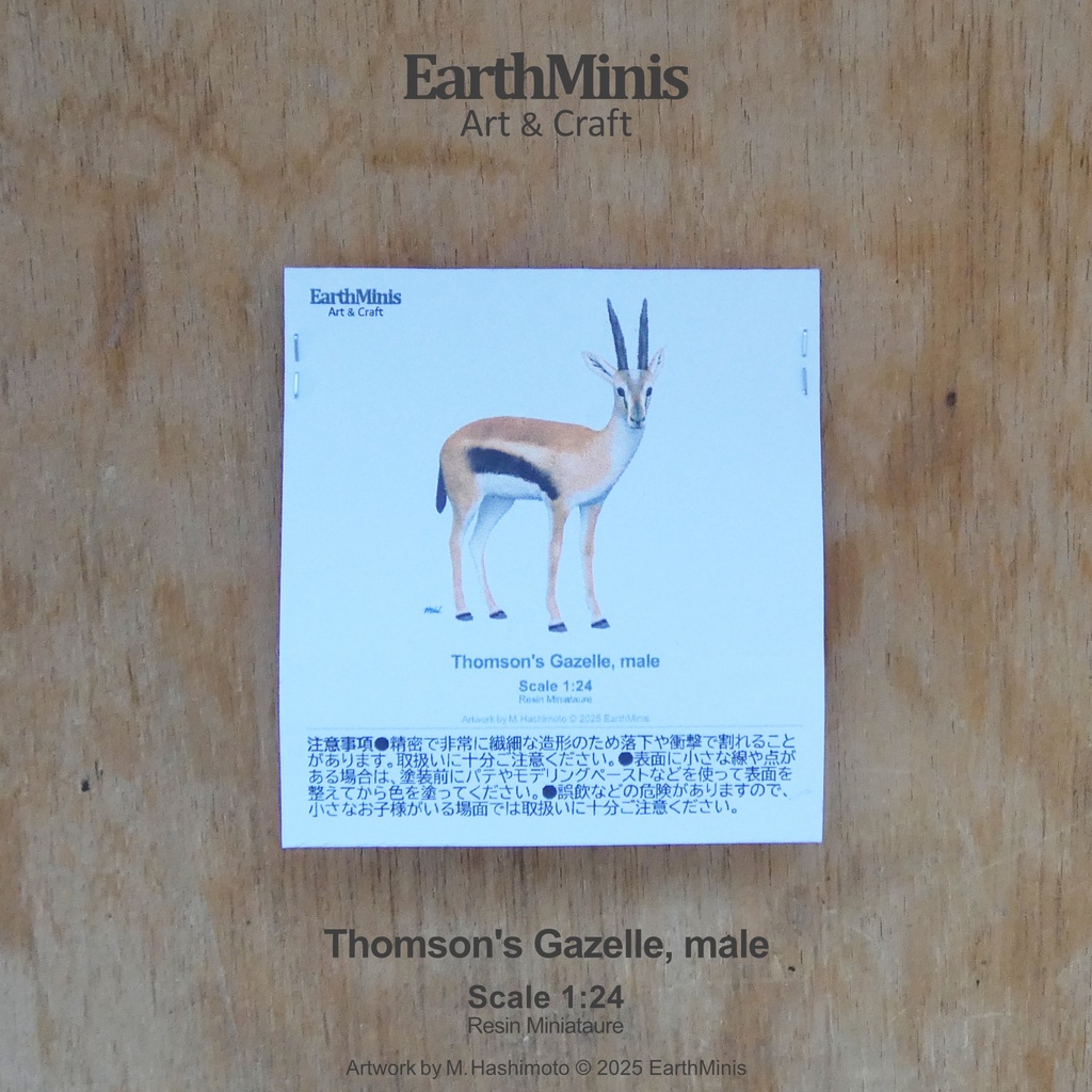 1/24スケール トムソンガゼル(オス) 動物ミニチュア素材 ホワイト