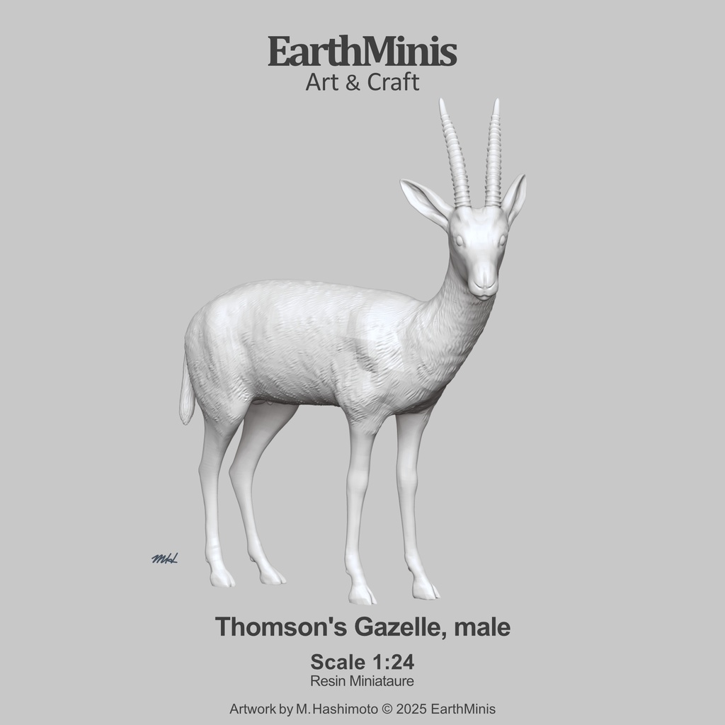 1/24スケール トムソンガゼル(オス) 動物ミニチュア素材 ホワイト