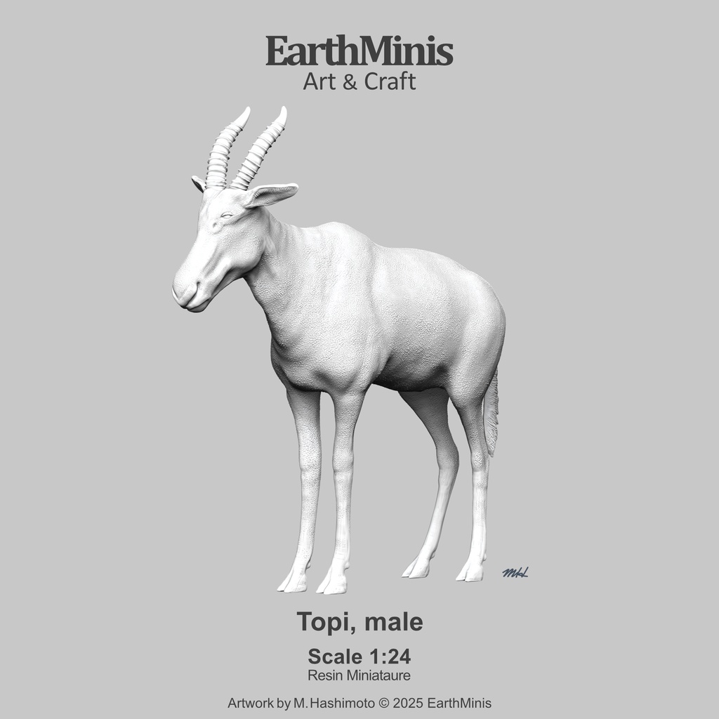 1/24スケール トピ(オス) 動物ミニチュア素材 ホワイト