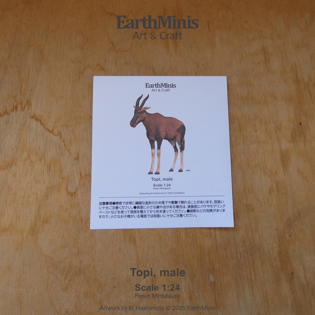 1/24スケール トピ(オス) 動物ミニチュア素材 ホワイト