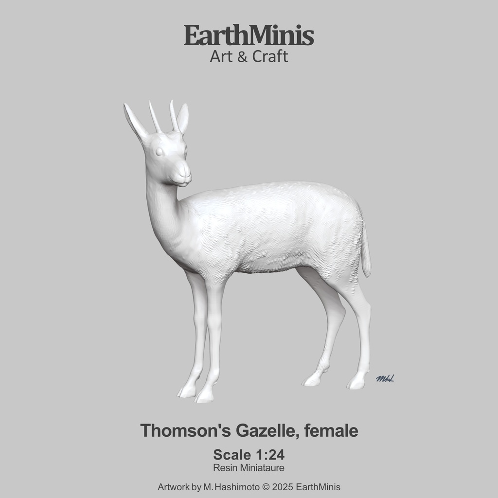 1/24スケール トムソンガゼル(メス) 動物ミニチュア素材 ホワイト