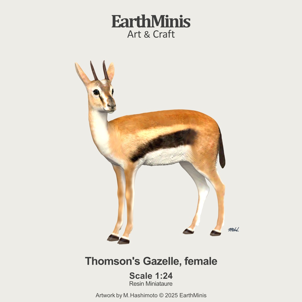 1/24スケール トムソンガゼル(メス) 動物ミニチュア素材 ホワイト