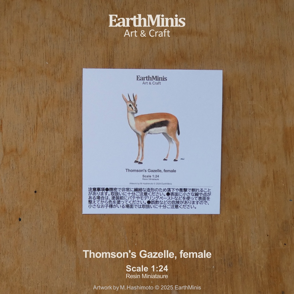 1/24スケール トムソンガゼル(メス) 動物ミニチュア素材 ホワイト