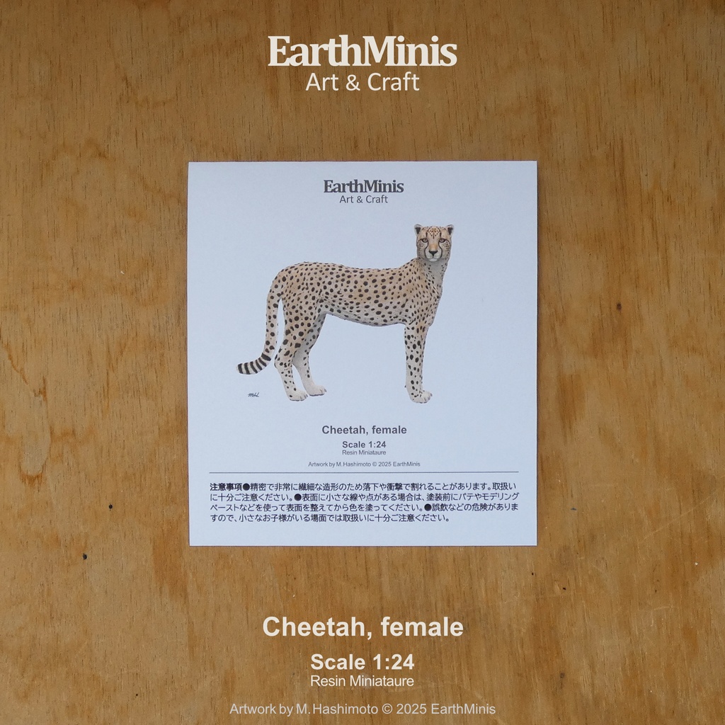 1/24スケール チーター(メス) 動物ミニチュア素材 ホワイト