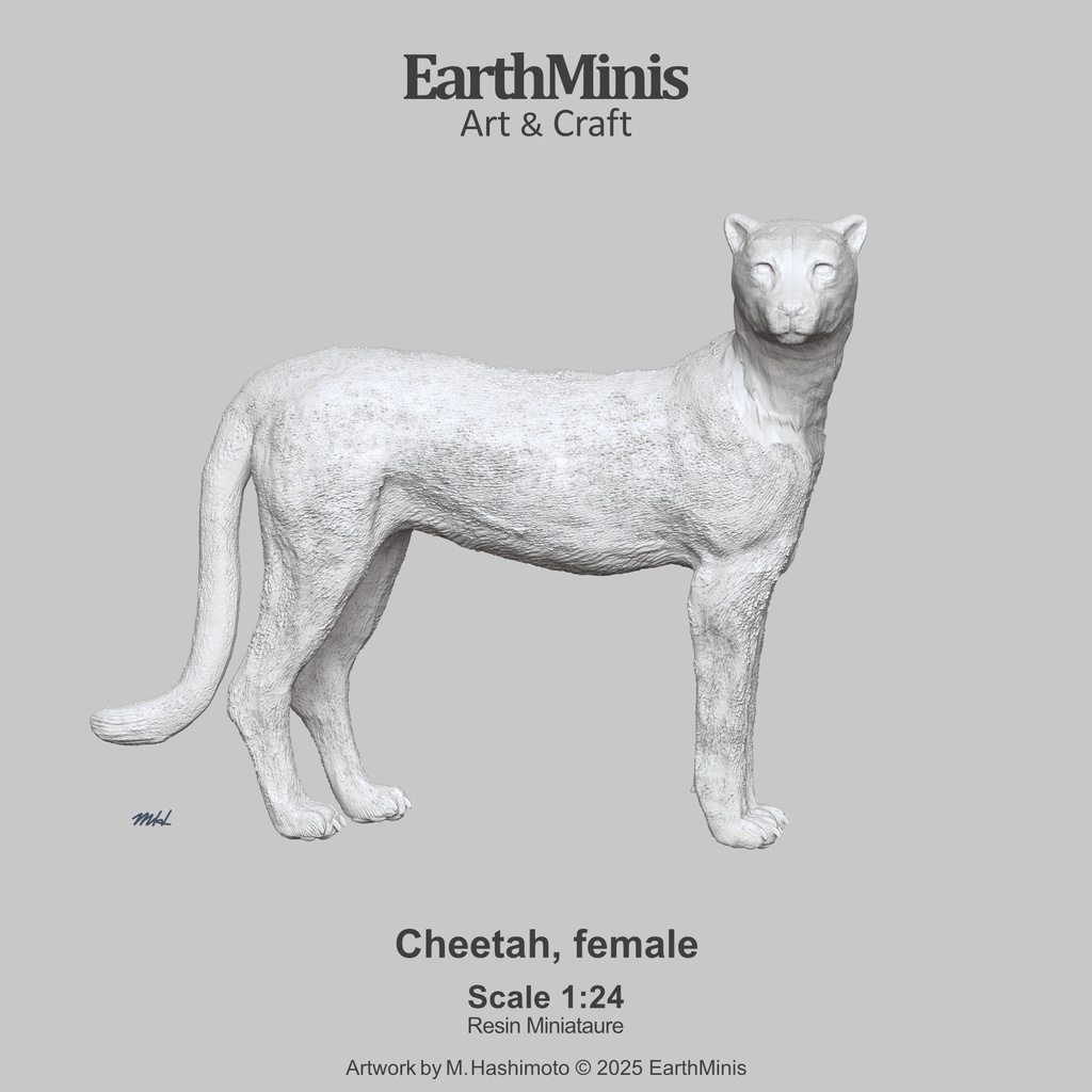 1/24スケール チーター(メス) 動物ミニチュア素材 ホワイト