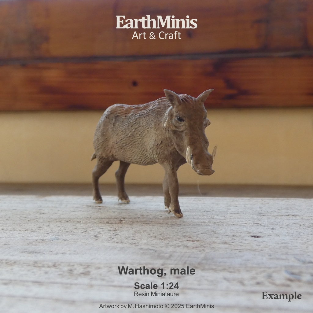 1/24スケール イボイノシシ(オス) 動物ミニチュア素材 ホワイト