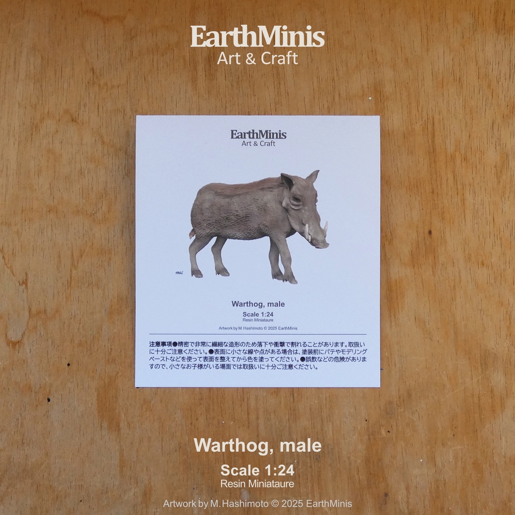 1/24スケール イボイノシシ(オス) 動物ミニチュア素材 ホワイト
