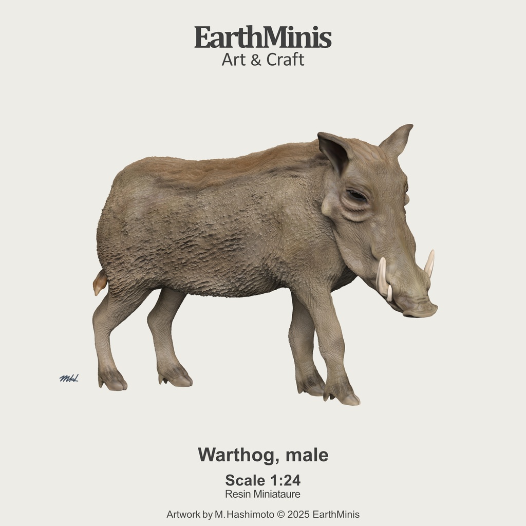 1/24スケール　イボイノシシ(オス)　動物ミニチュア素材　ホワイト