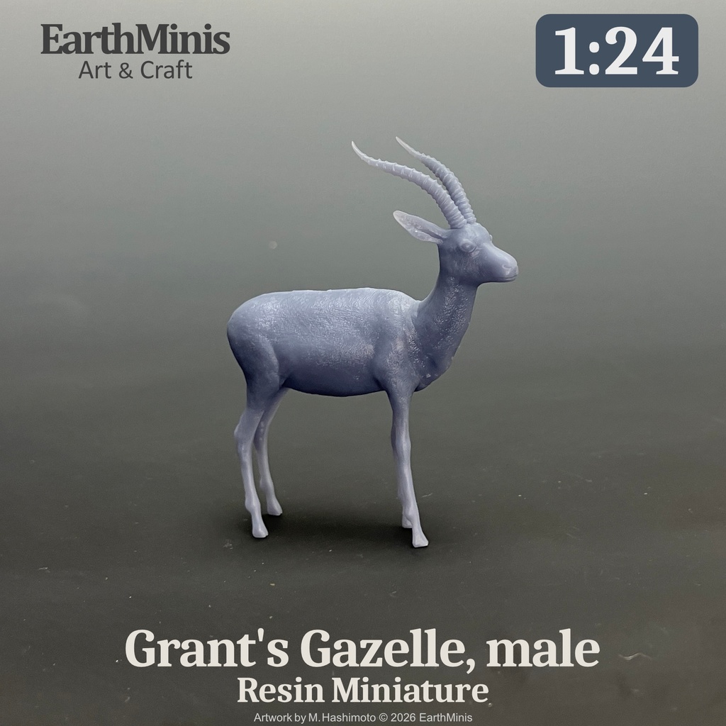 1/24スケール グラントガゼル(オス) 動物ミニチュア 模型素材 ホワイト/グレー
