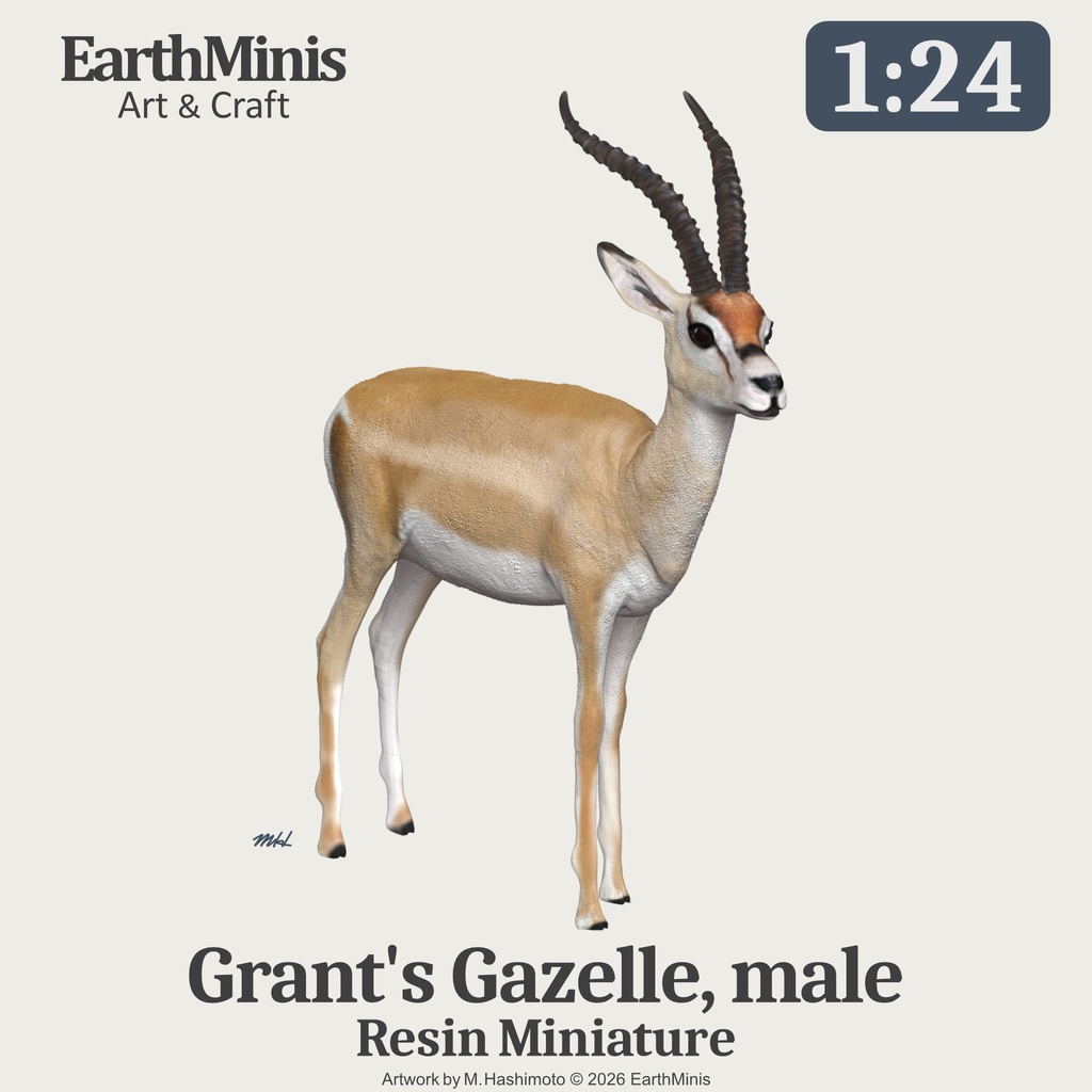 1/24スケール　グラントガゼル(オス)　動物ミニチュア 模型素材 ホワイト／グレー