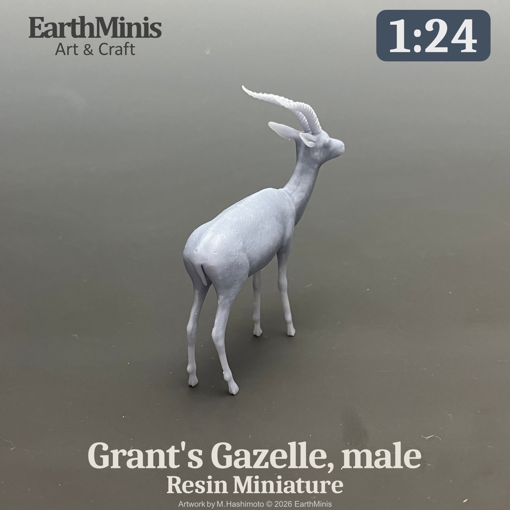 1/24スケール グラントガゼル(オス) 動物ミニチュア 模型素材 ホワイト/グレー