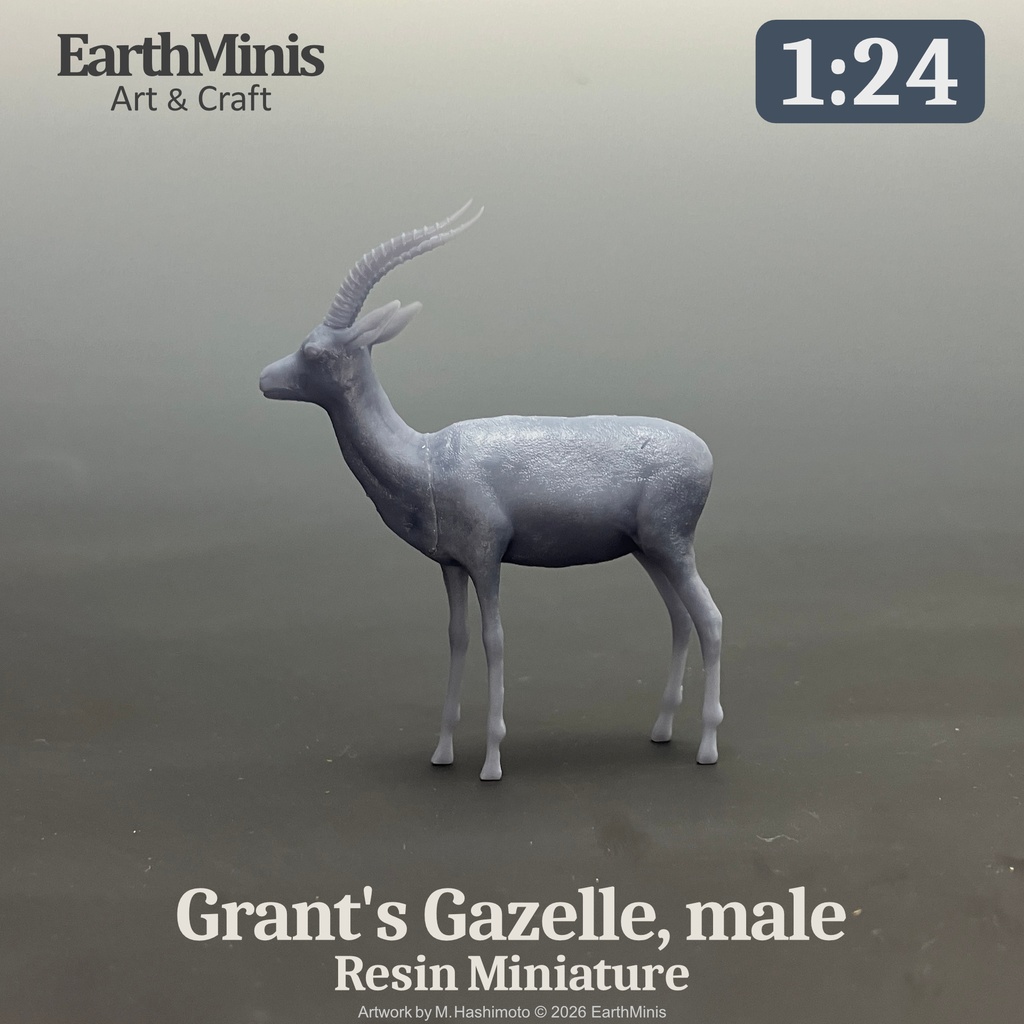 1/24スケール グラントガゼル(オス) 動物ミニチュア 模型素材 ホワイト/グレー