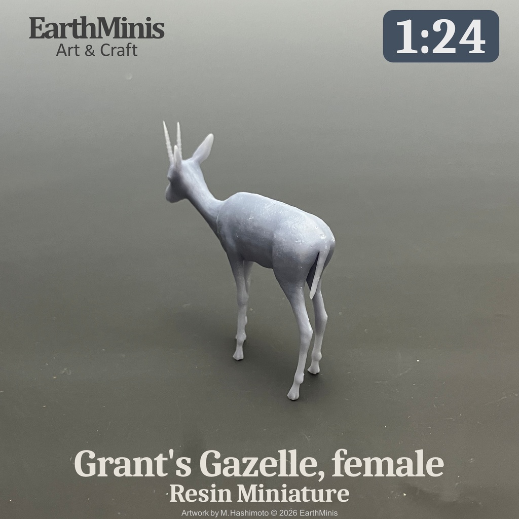 1/24スケール グラントガゼル(メス) 動物ミニチュア 模型素材 ホワイト/グレー