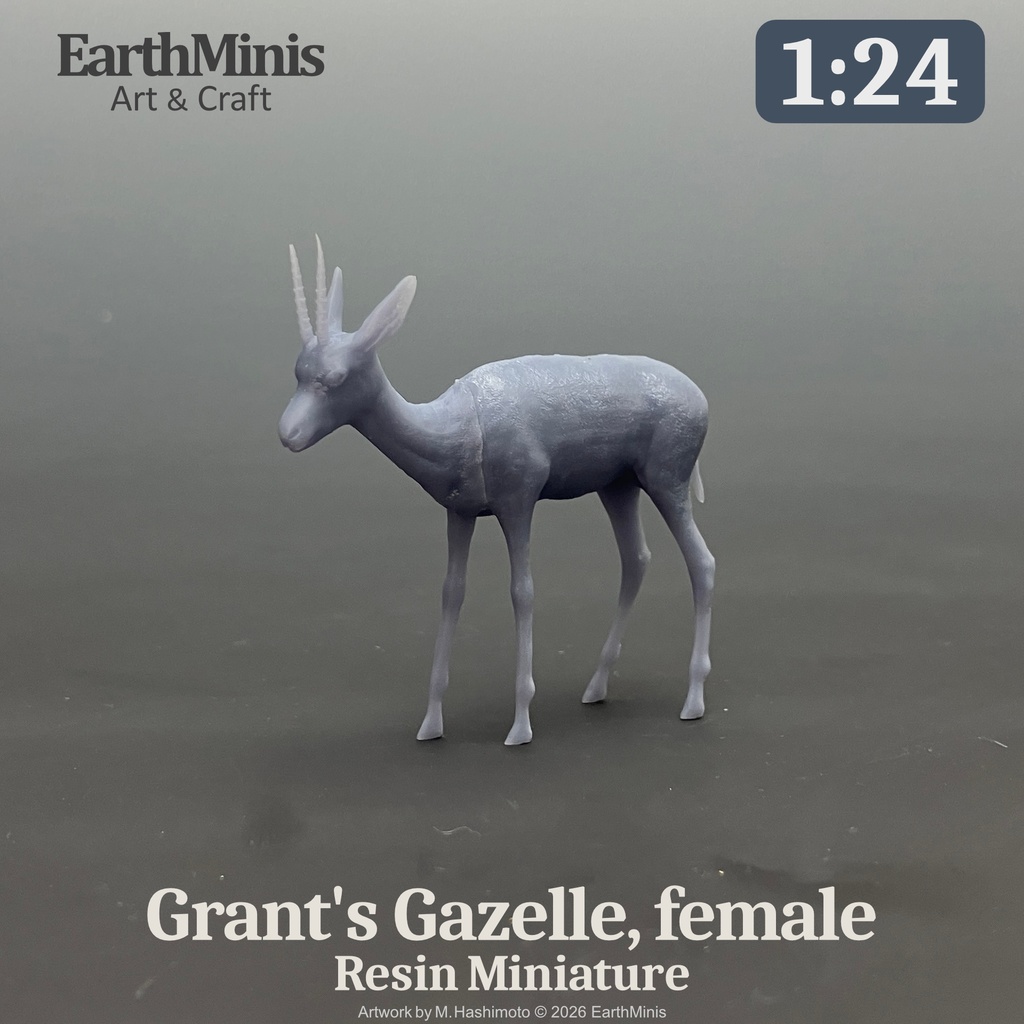 1/24スケール グラントガゼル(メス) 動物ミニチュア 模型素材 ホワイト/グレー