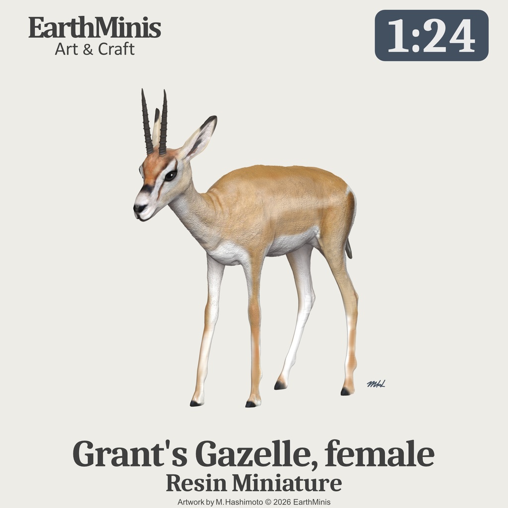 1/24スケール　グラントガゼル(メス)　動物ミニチュア 模型素材 ホワイト／グレー