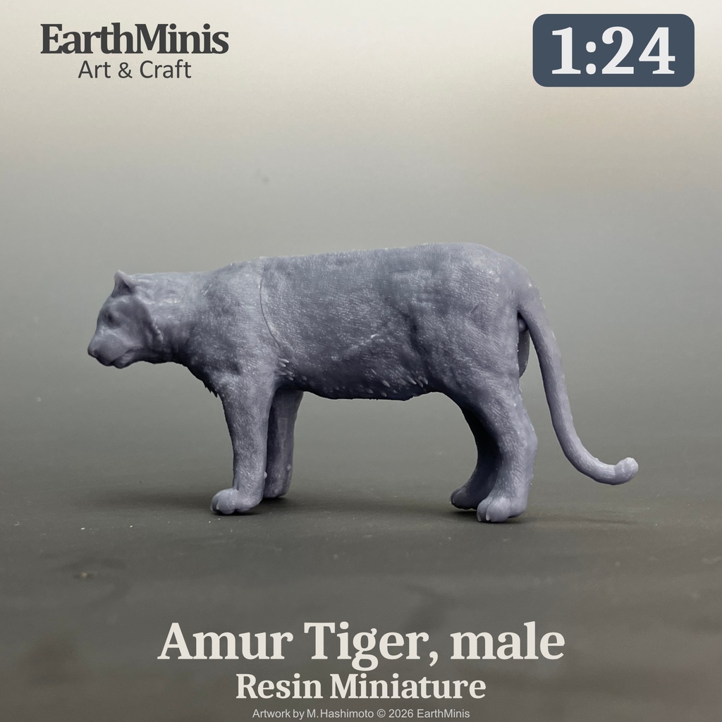 1/24スケール アムールトラ(オス) ミニチュア模型(未塗装・未組立)