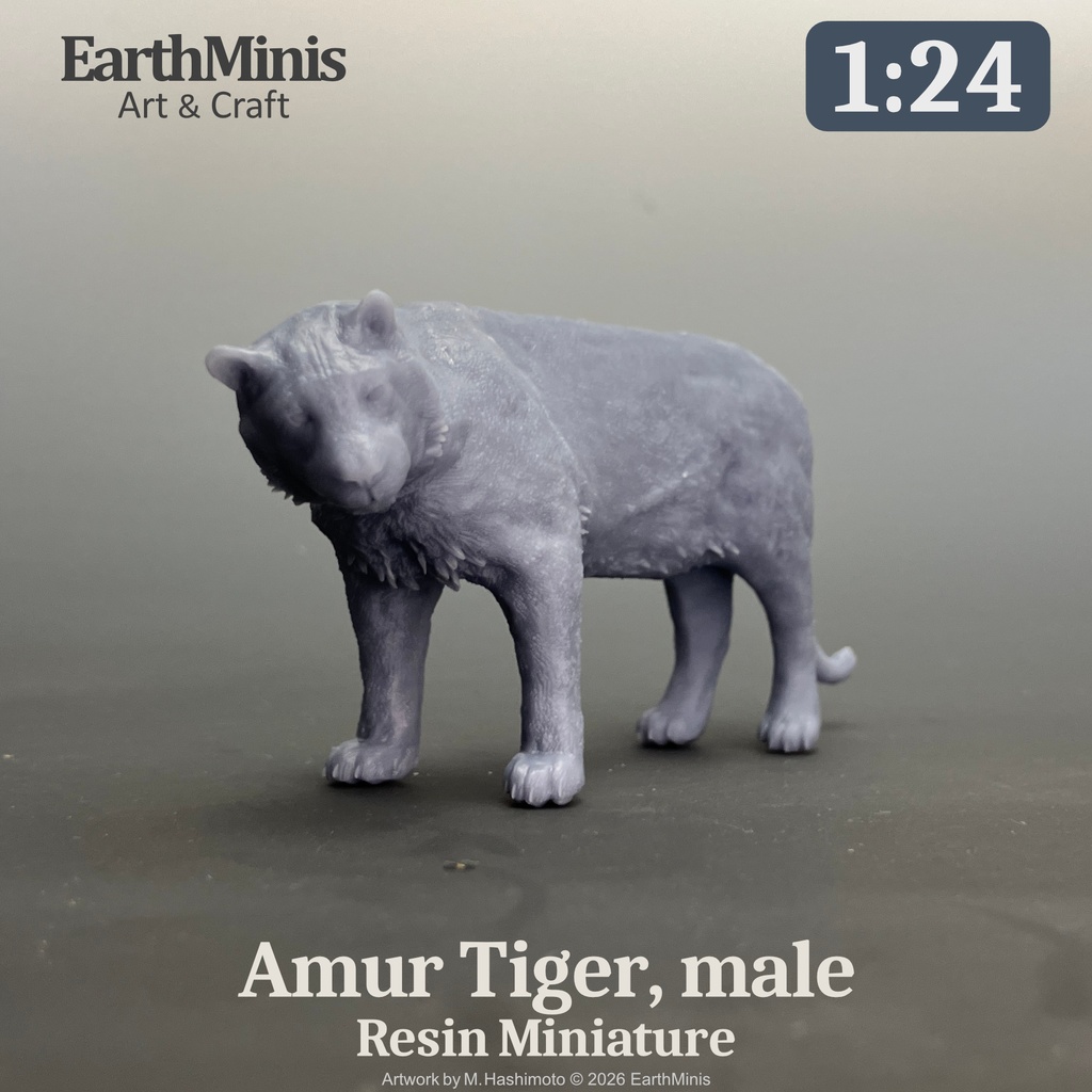 1/24スケール アムールトラ(オス) ミニチュア模型(未塗装・未組立)