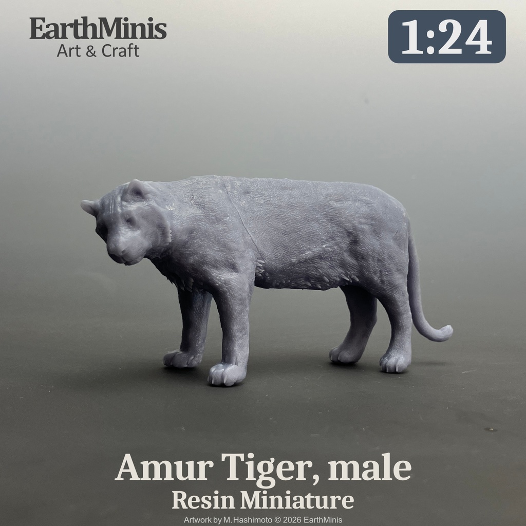 1/24スケール アムールトラ(オス) ミニチュア模型(未塗装・未組立)