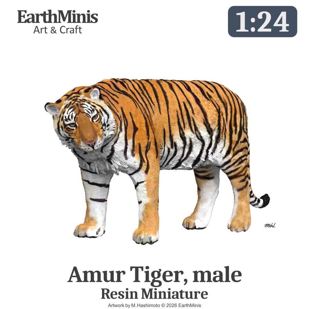 1/24スケール アムールトラ(オス) ミニチュア模型（未塗装・未組立）