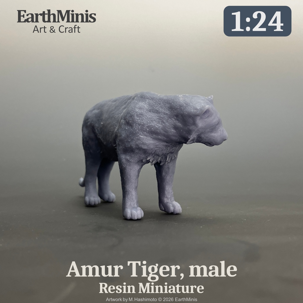1/24スケール アムールトラ(オス) ミニチュア模型(未塗装・未組立)