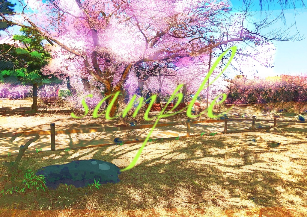 【背景画像/商用利用可】桜と芝生、春の公園