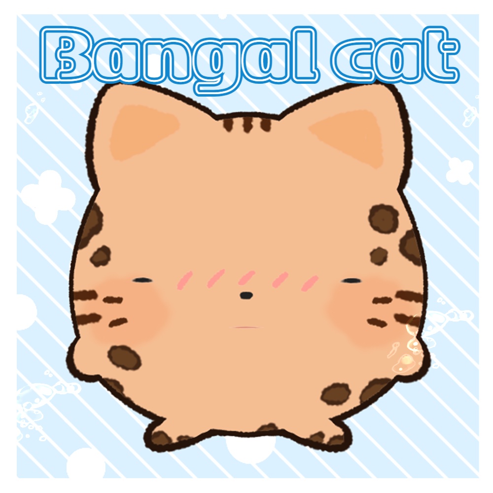 🐾 (ฅ^・ω・^ ฅ) 5color 共用 猫 ライブ トゥディ 🐾