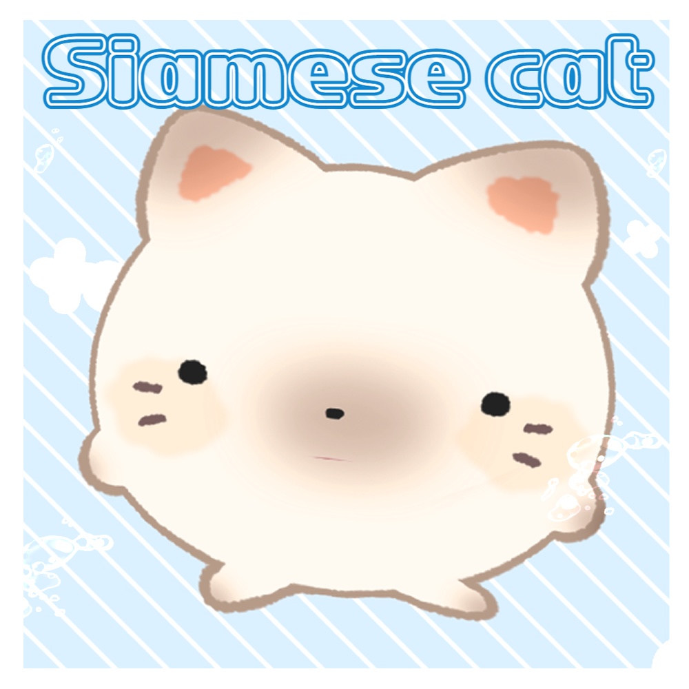 🐾 (ฅ^・ω・^ ฅ) 5color 共用 猫 ライブ トゥディ 🐾