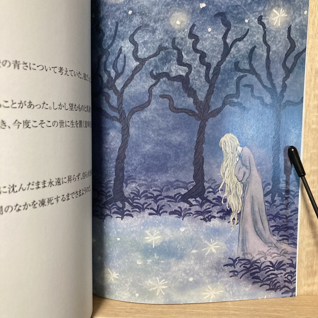 星を追いかける