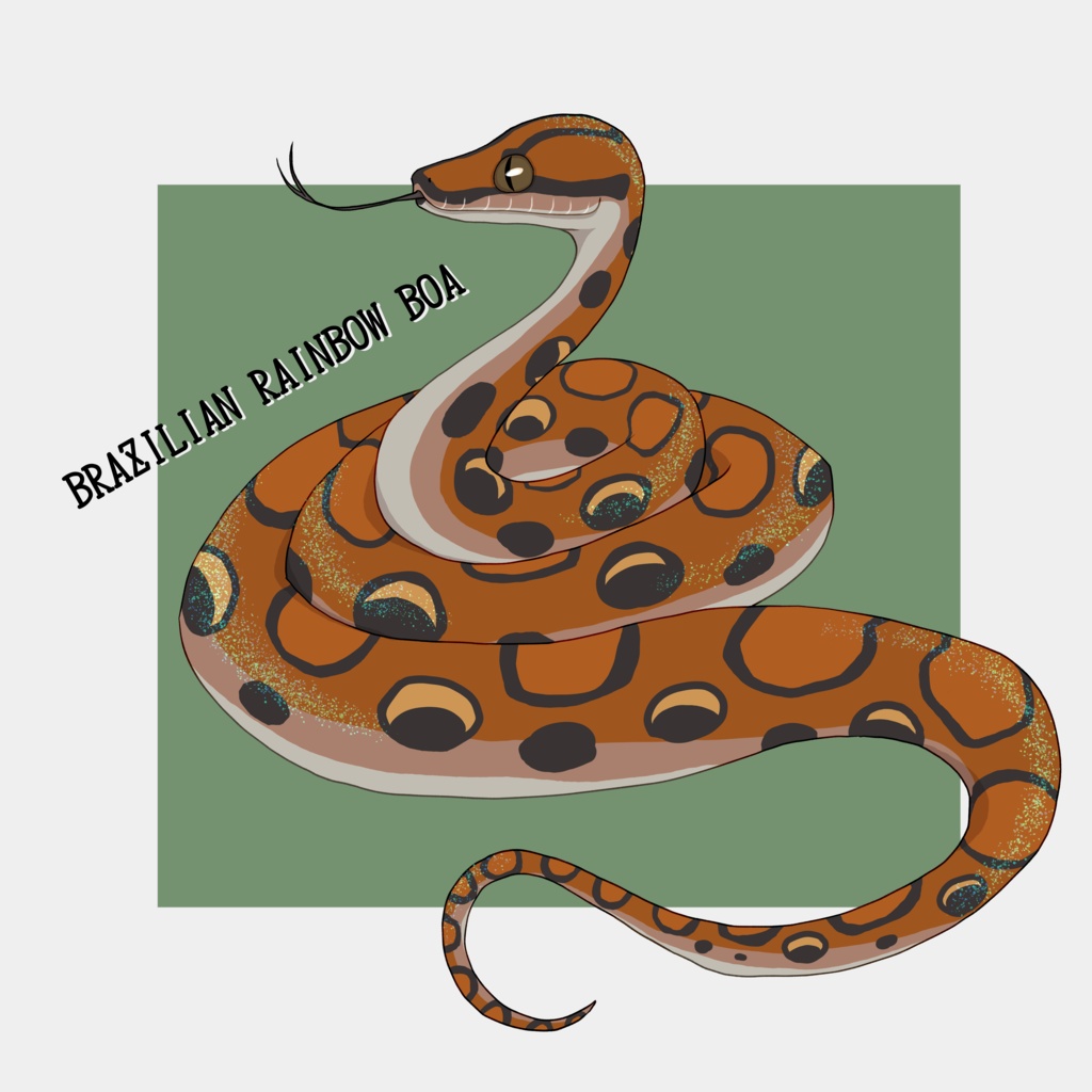 ブラジルレインボーボアアクリルキーホルダー