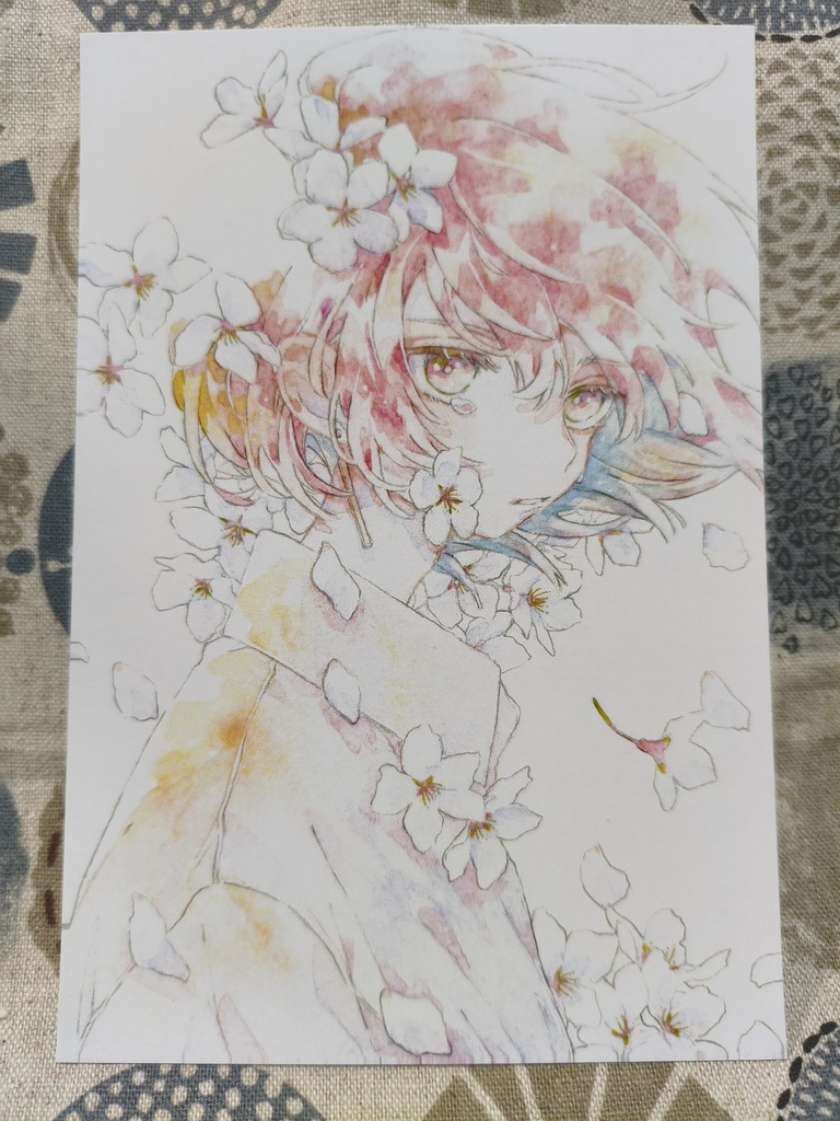 ポストカード　桜