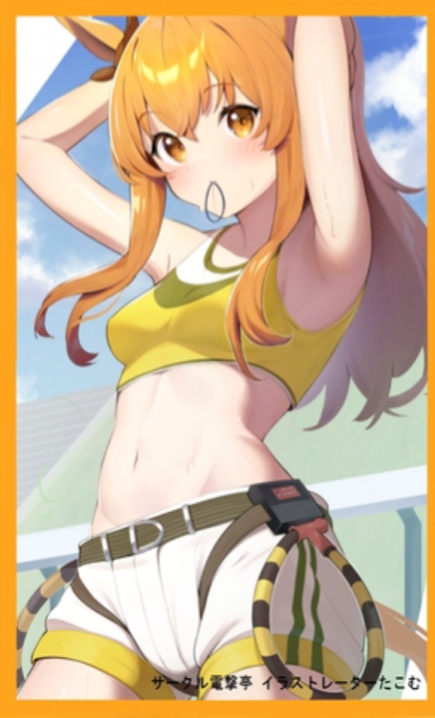 マヤノトップガン スリーブ