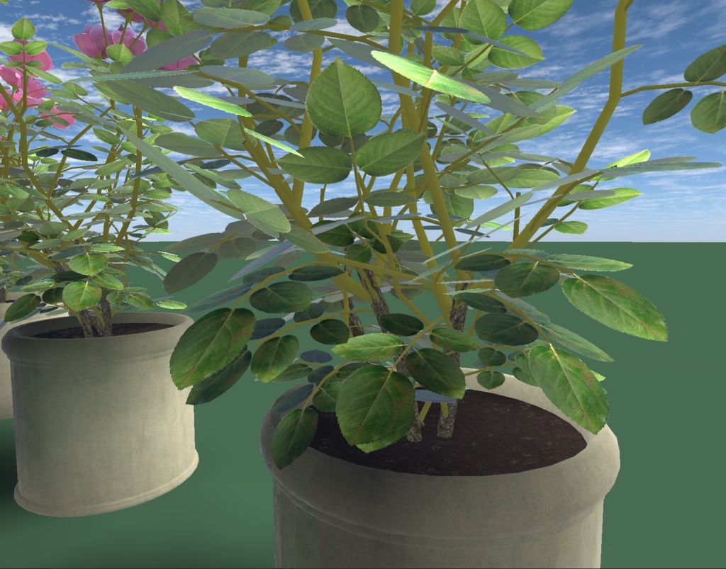 【3Dモデル】Rose Assets