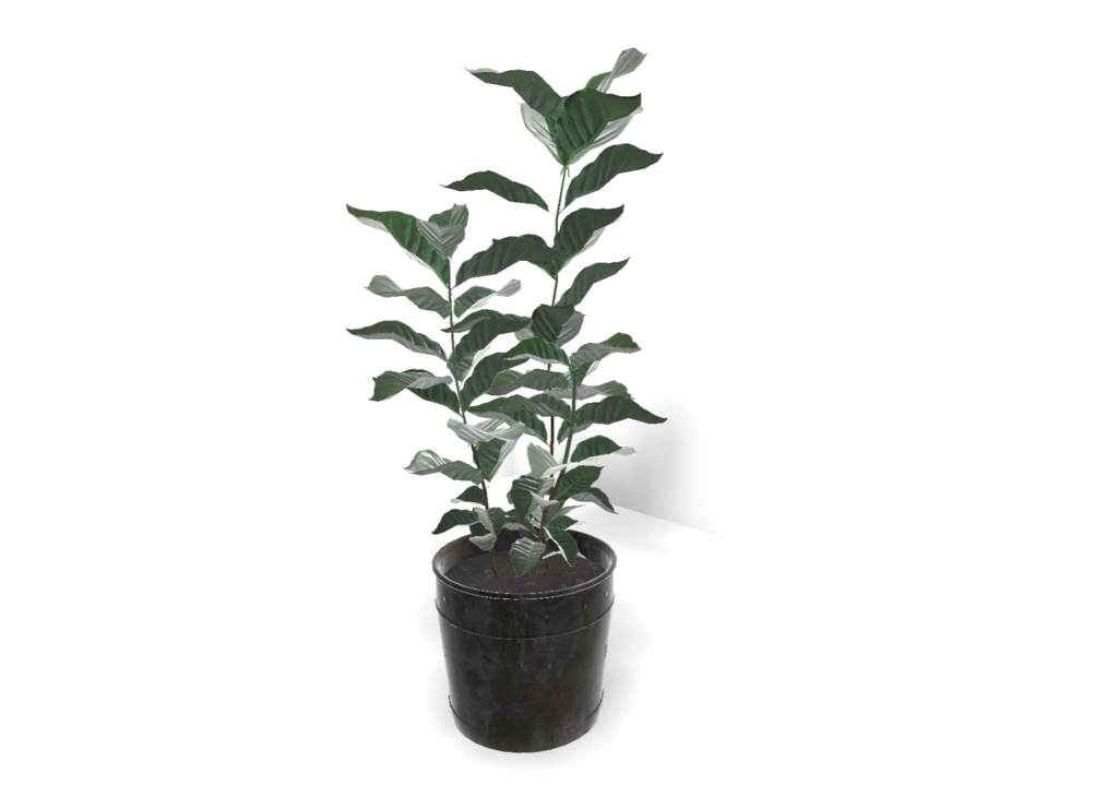 【3Dモデル】Coffee Tree Assets