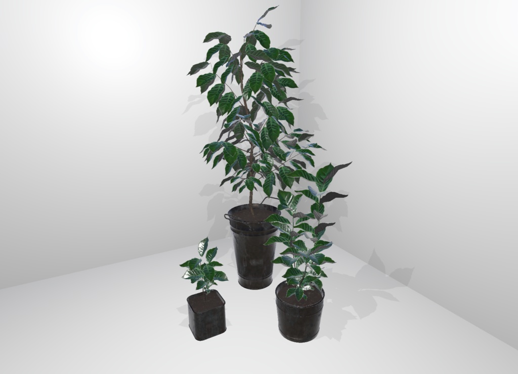 【３Dモデル】Coffee Tree Assets
