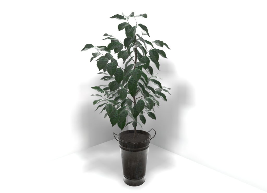 【3Dモデル】Coffee Tree Assets
