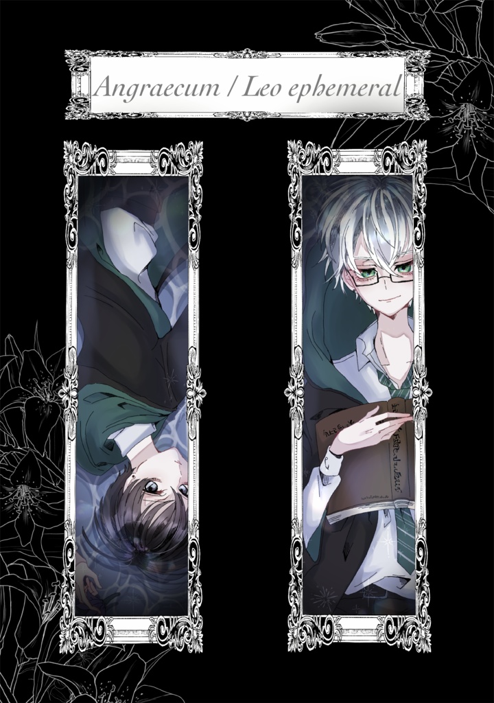 Angraecum / Leo ephemeral