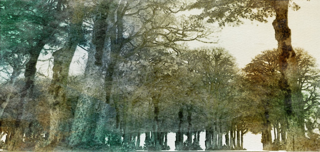 自然 庭(パーシー邸)