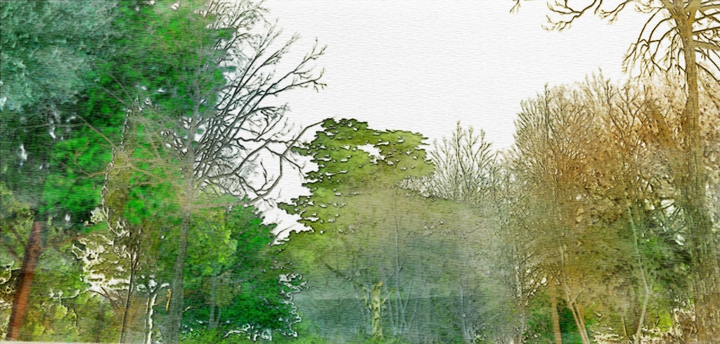 自然 庭(パーシー邸)