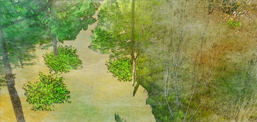 自然 庭(パーシー邸)