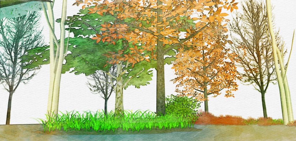 自然 庭(パーシー邸)