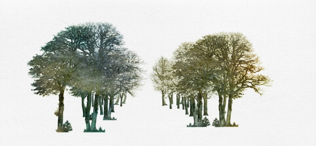 自然 庭(パーシー邸)