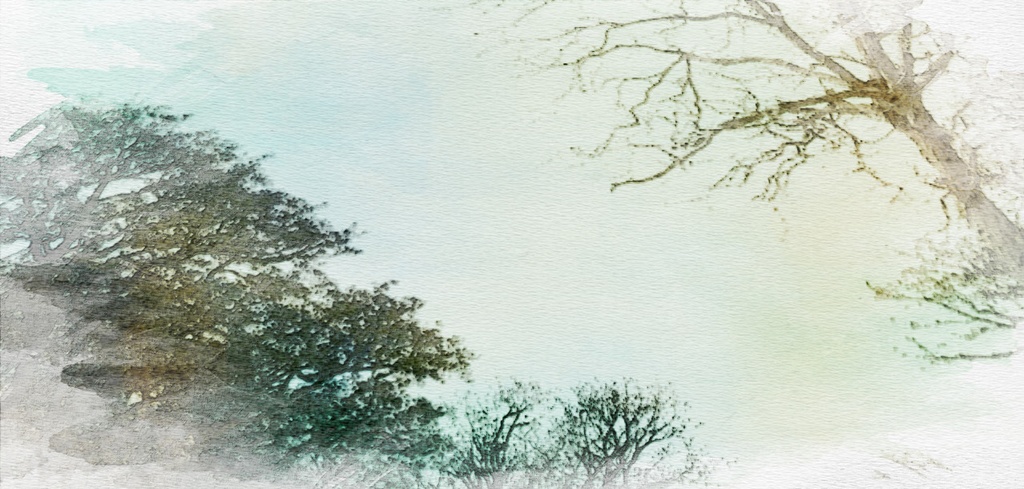 自然 庭(パーシー邸)