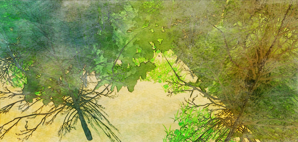 自然 庭(パーシー邸)