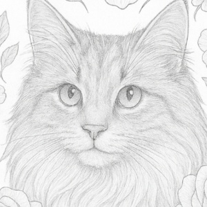 【塗り絵図案】ノルウェイジャン・フォレスト・キャット(B)