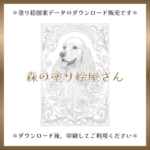 【塗り絵図案】アメリカン・コッカー・スパニエル（B）