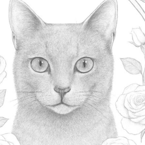 【塗り絵図案】ロシアンブルー(B)