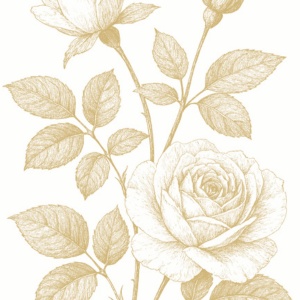 【塗り絵図案】薔薇(A)