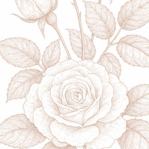 【塗り絵図案】薔薇(B)