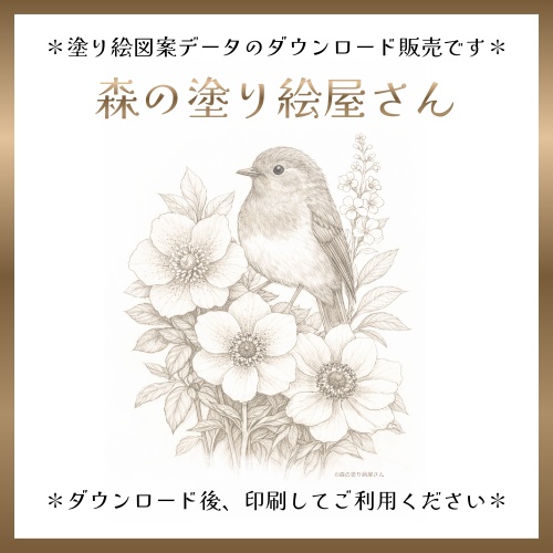 【塗り絵図案】ヨーロッパコマドリと花